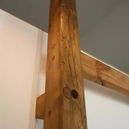 Vilă Flora Kattavía